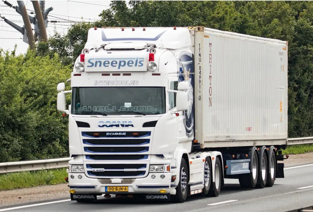 Sneepels